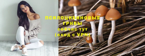 трава Касимов